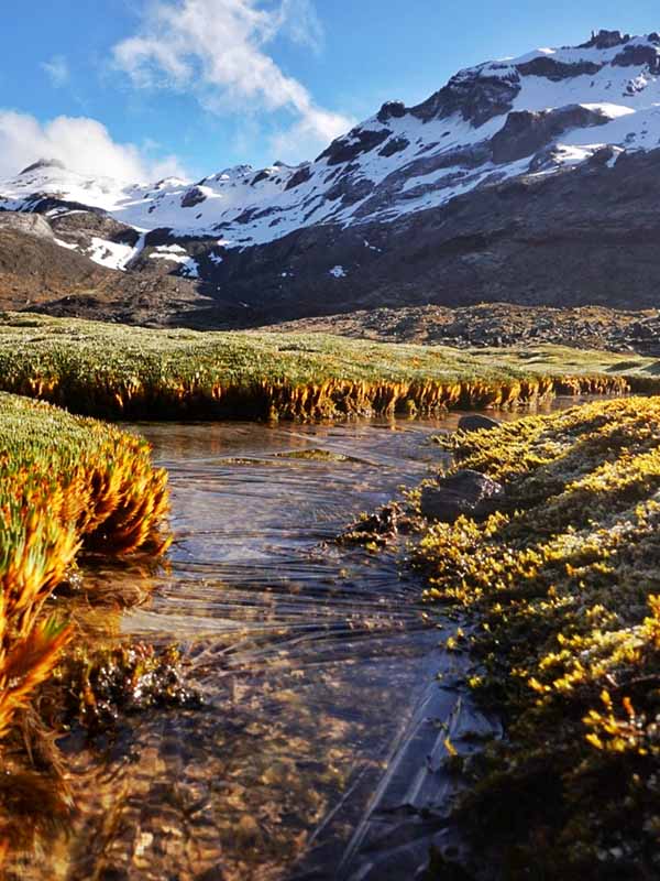 Conservación de Montañas y Nevados en Ecuador
