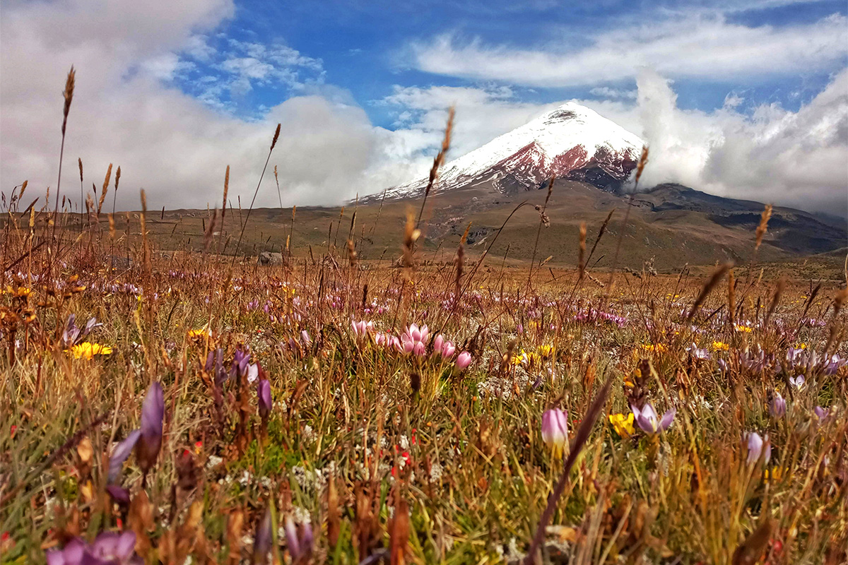 Conservación de Páramos en Ecuador