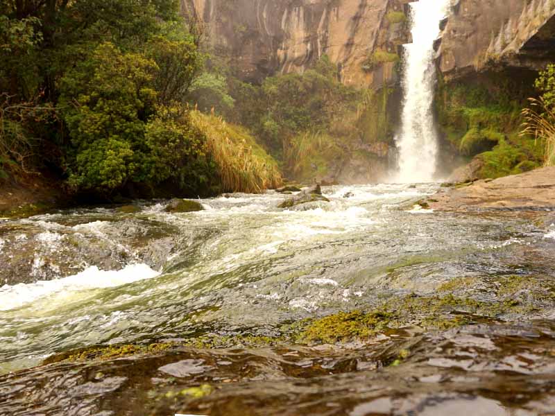 Impulsa la Conservación Regenerativa